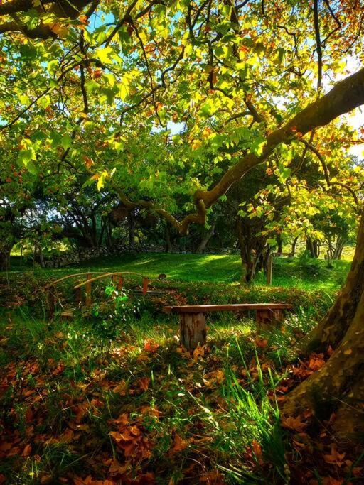 Сasa de vacaciones De Campo Nabucco - Sierras, Naturaleza Y Descanso