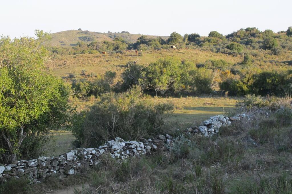 De Campo Nabucco - Sierras, Naturaleza Y Descanso * Minas